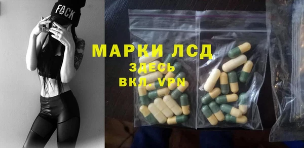 стаф Алексин
