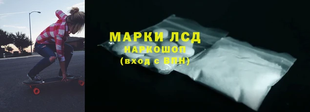 эйфоретик Алзамай