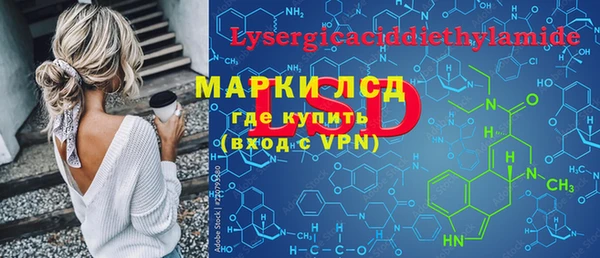 стаф Алексин