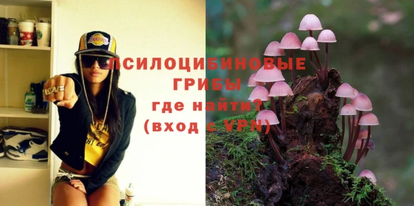 эйфоретик Алзамай